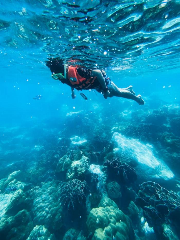 En Corse il n'est pas nécessaire de plonger profond pour voir des merveilles